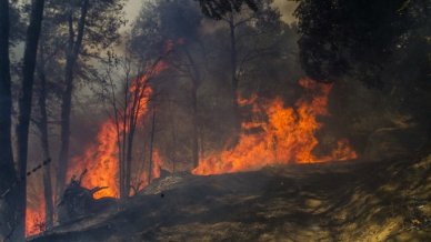 Peñaflor y Tiltil en alerta roja por incendios forestales - Cooperativa.cl
