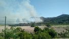 Incendio forestal se registra en Ovalle