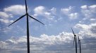 Gobierno licitará 8.000 hectáreas para energía eólica