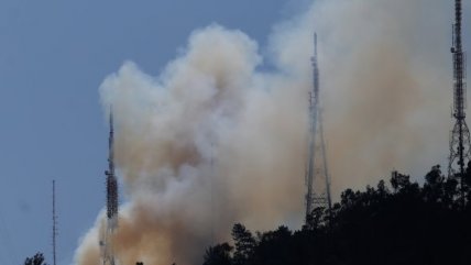 2016112616:09 Incendio forestal afecta al Cerro San Cristóbal - Cooperativa.cl