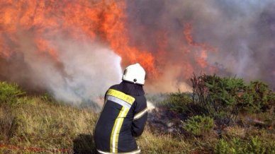 Incendios forestales: Alerta roja en Santo Domingo y Buin - Cooperativa.cl