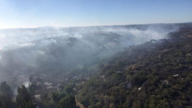 Conaf pidió evacuar 20 casas por incendio forestal en Santo Domingo - Cooperativa.cl
