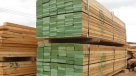 Hecho por Chile: La exportación de madera