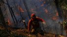 Brigadistas de Conaf combaten incendio en Vichuquén