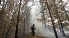 Bomberos combaten incendio en San Pedro de Alcántara