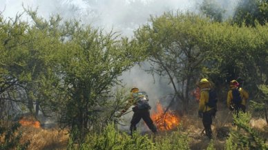 Declaran Alerta Roja por incendio forestal en Valdivia - Cooperativa.cl