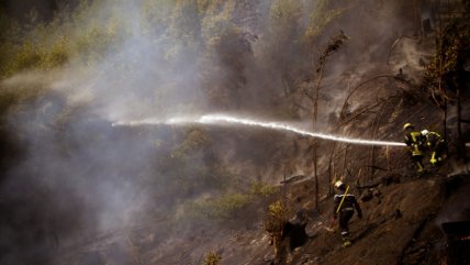 Bomberos combaten incendio en sector Pedro de Valdivia en ... - Cooperativa.cl