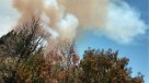 Incendio forestal: Declaran alerta roja en Machalí