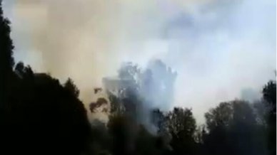 Incendio forestal afecta a la isla Santa María de Coronel - Cooperativa - Cooperativa.cl