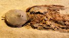 La Historia es Nuestra: Las momias que se hicieron un escáner