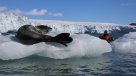 Kayakistas culminaron primera expedición alrededor del Archipiélago Antártico