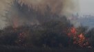Declaran Alerta Roja en las comunas de Chillán y San Nicolás por incendio forestal