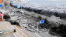 Costas del Pacífico japonés se han elevado hasta 40 centímetros tras terremoto de 2011
