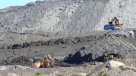 Corte Suprema ordenó realizar consulta ciudadana por mina en Isla Riesco