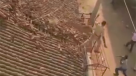 Hombre salta desde un techo para evitar ataque de un leopardo