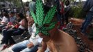 México: Miles de personas participaron en la Marcha Mundial de la Marihuana