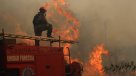 Bomberos perdió 6.000 millones de pesos en incendios forestales