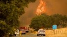 Incendio forestal afecta al estado de California en EE.UU.