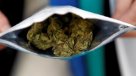 Uruguay: Policía cree que impacto de venta legal del cannabis en narcotráfico tardará años