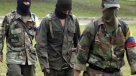 Colombia: Incautan una tonelada de marihuana a disidentes de las FARC