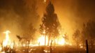 Formalizarán a ejecutivos de CGE por incendios forestales en el Maule