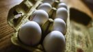 Francia, Reino Unido, Suiza y Suecia analizan huevos por caso de pesticida tóxico