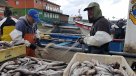 FAO pidió a los países atender los derechos de los pequeños pescadores