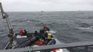 Armada busca a tres pescadores desaparecidos tras naufragio de lancha en Golfo de Ancud