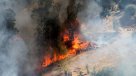 Maule: Damnificados de incendios recuperan sus fuentes laborales con apoyo de Fosis