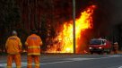 Masivo incendio forestal afecta a zonas urbanas de Australia