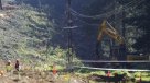 CGE talará 7.700 kilómetros de árboles contiguos a redes para prevenir incendios forestales