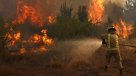 Alerta amarilla para Quillota y La Cruz por incendio forestal cercano a viviendas