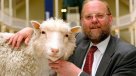 La oveja Dolly no padecía osteoartritis prematura por su clonación