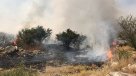 Incendio forestal se registra en Chicureo
