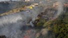 Declaran alerta roja por incendios forestales en Viña del Mar y Quilpué