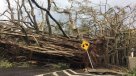 Gobierno de Puerto Rico revisará caso a caso las muertes tras huracán María