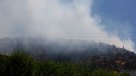 Investigan a menor acusado de haber provocado incendio forestal en cerro Chena