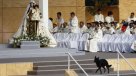 Sacerdotes chateando, un perrito sobre el altar: el lado B de la misa del papa