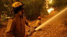 Conaf trabaja en extinción de dos incendios forestales en La Araucanía