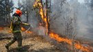 Alerta amarilla por incendio forestal en Calbuco