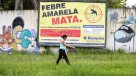 Minsal en alerta por brote de fiebre amarilla en Brasil