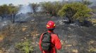 Incendios forestales obligan a decretar alerta roja en Valparaíso, La Calera, La Cruz y Melipilla