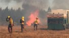 Incendio forestal en Ercilla consume 1.654 hectáreas