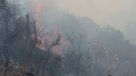 Onemi declaró alerta roja en Cartagena por incendio forestal