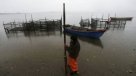 Amplían zona afectada por marea roja en Chiloé