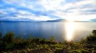 Tribunal Ambiental fijó audiencia por demanda por contaminación del Lago Llanquihue