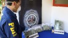 PDI decomisó más de 2.300 dosis de marihuana en Santa Cruz