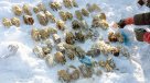 Macabro hallazgo: Encontraron 54 manos humanas en una bolsa en Siberia