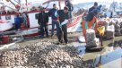 Se confirman tres casos de afectados por marea roja en Calbuco