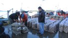 Alcalde de Calbuco anunció querella contra lancheros por vender mariscos con marea roja